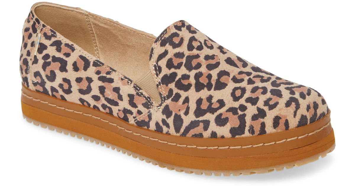 TOMS Palma Leather Slip-on Sneaker in Desert Tan Leopard Suede (Brown) - Lyst
