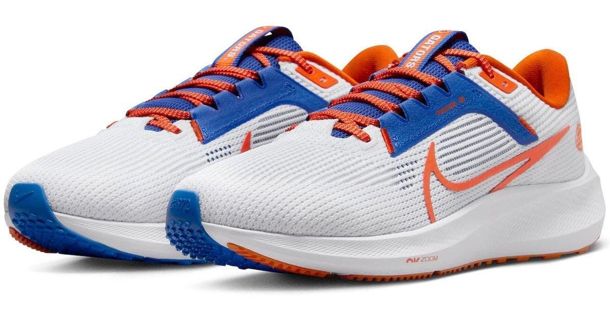 florida gators pegasus