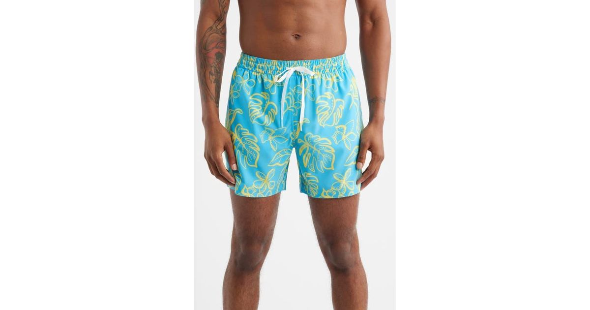 Chubbies The Arboretum Classic Lined 5.5-Inch Swim Trunks in Blue for ...