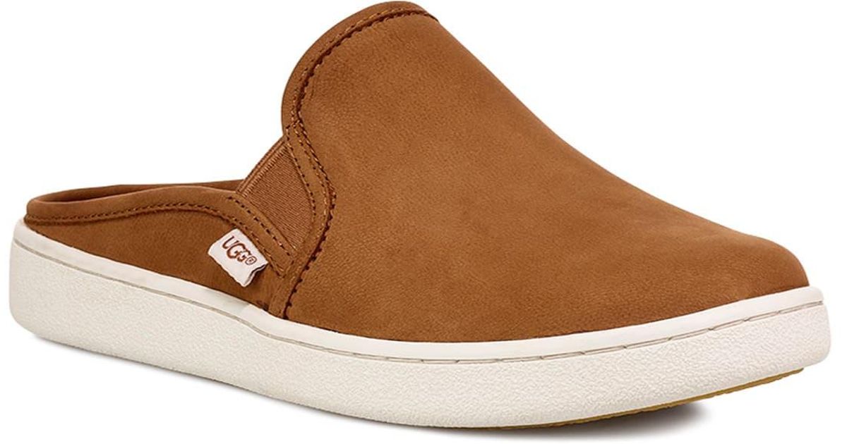 ugg gene mule