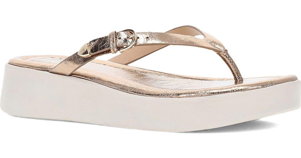 frye azalea flip flop