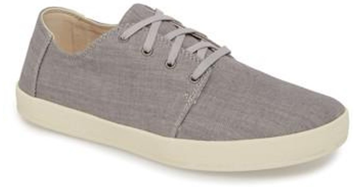 toms payton sneaker