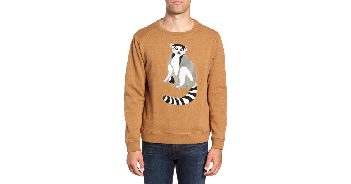 bonobos dinosaur sweater