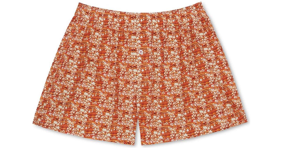 Tortoise Shell Boxer Druthers NYC Organic Cotton Takeshi Matsumi Cone Shell Boxer Short in ...