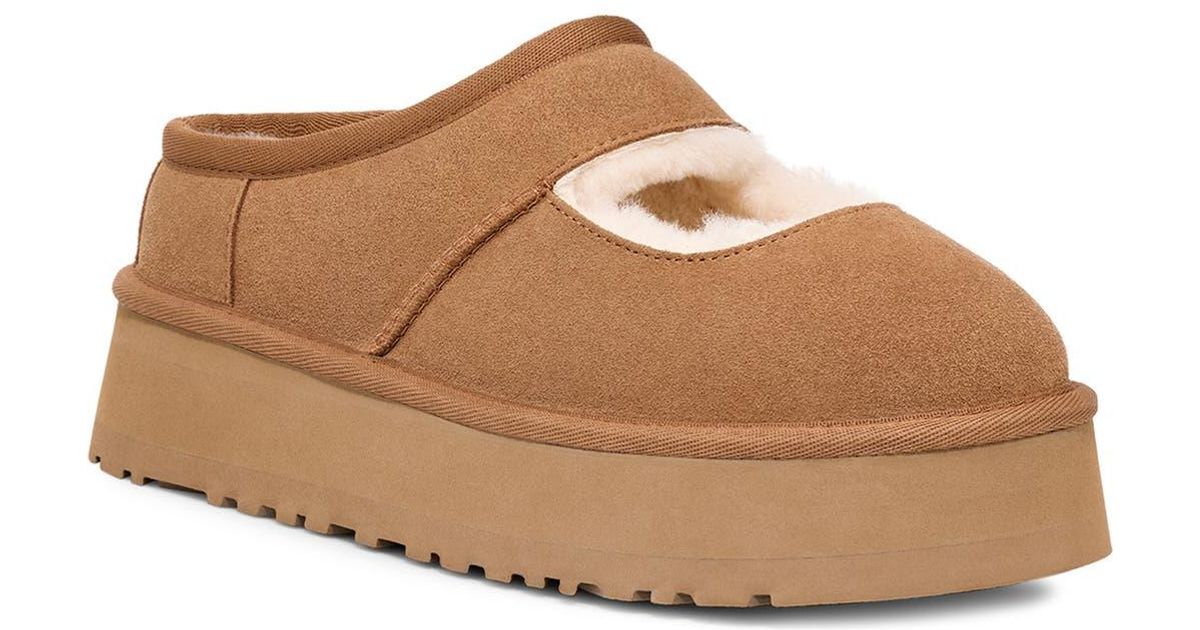 UGG Tazz Mary Jane Shoes Brown-Red Suede Shearing main image 1