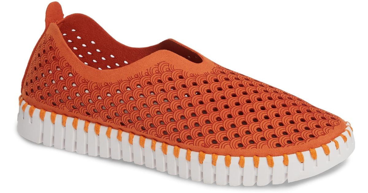 ilse jacobsen tulip orange