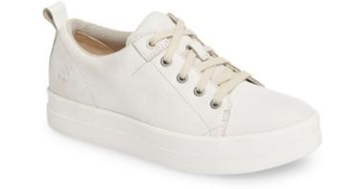 timberland sneakers white