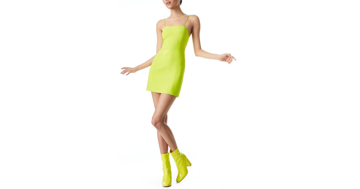 alice olivia estelle fitted minidress