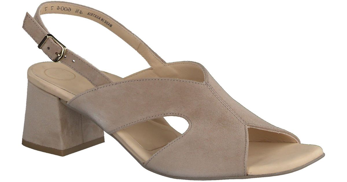 lois slingback sandal paul green