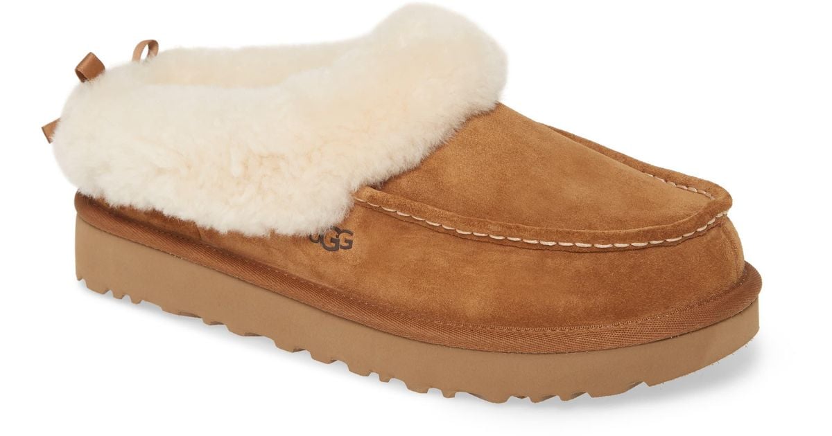 ugg grove moccasin slippers