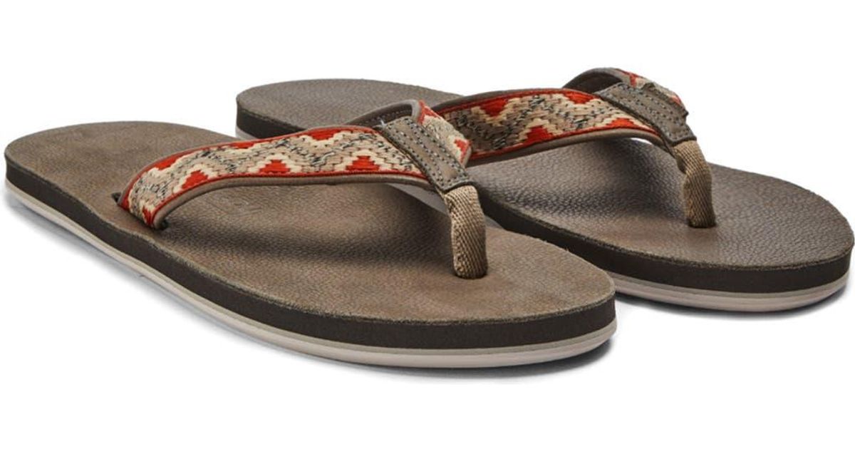 hari mari fields camino