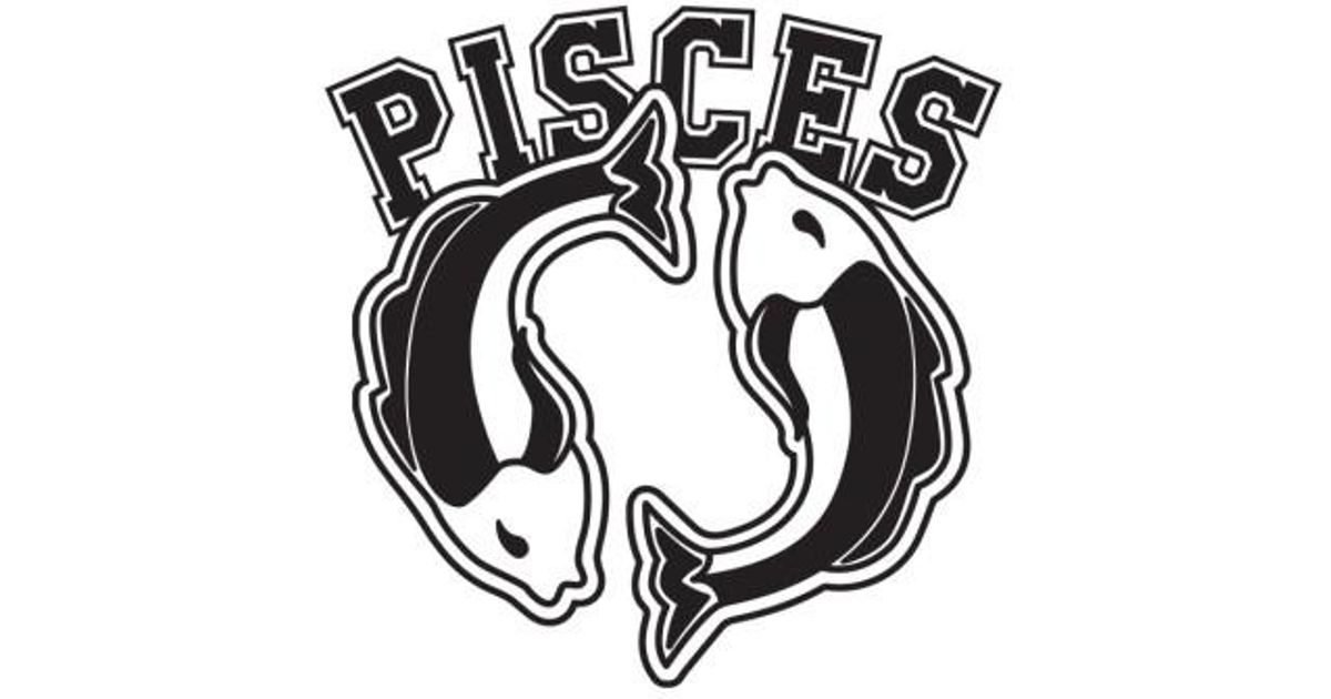 pisces sweatshirt good american