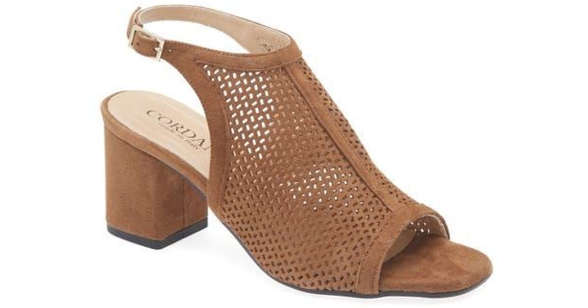 Cordani Illia Ankle Strap Sandal in Brown | Lyst