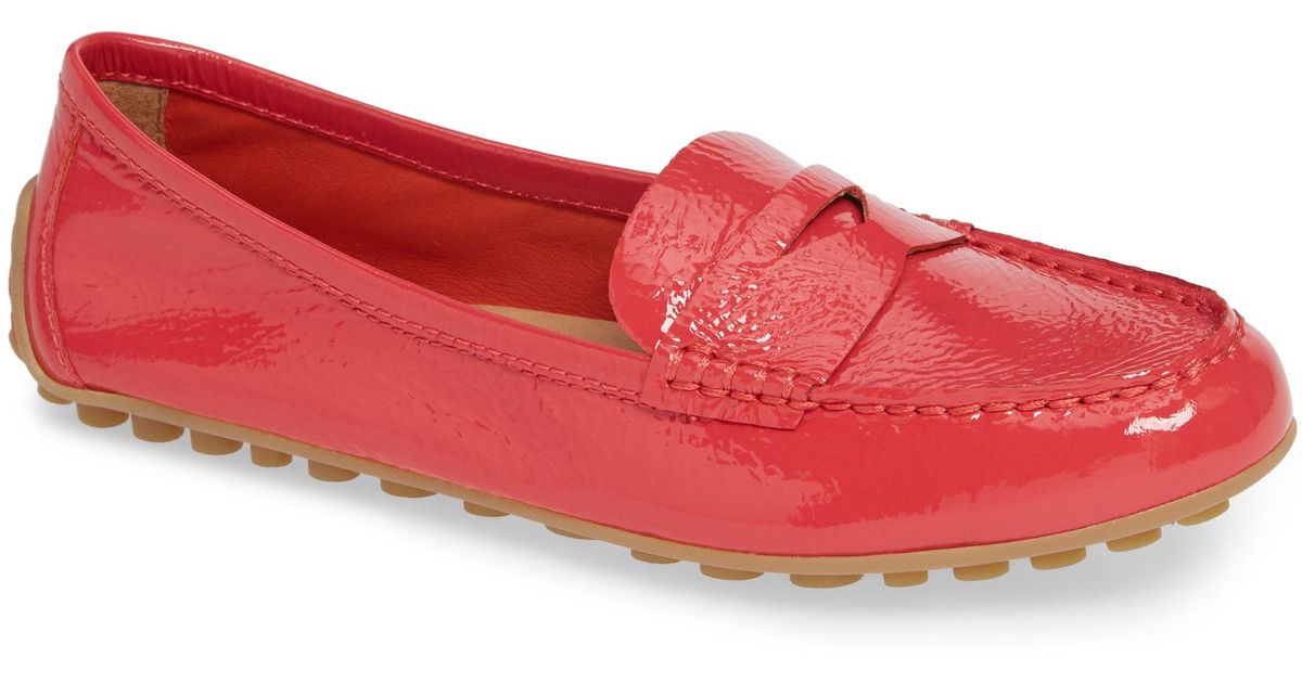 nordstrom born malena