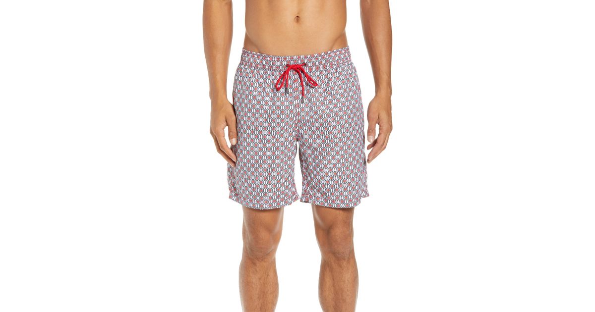 mr swim shorts