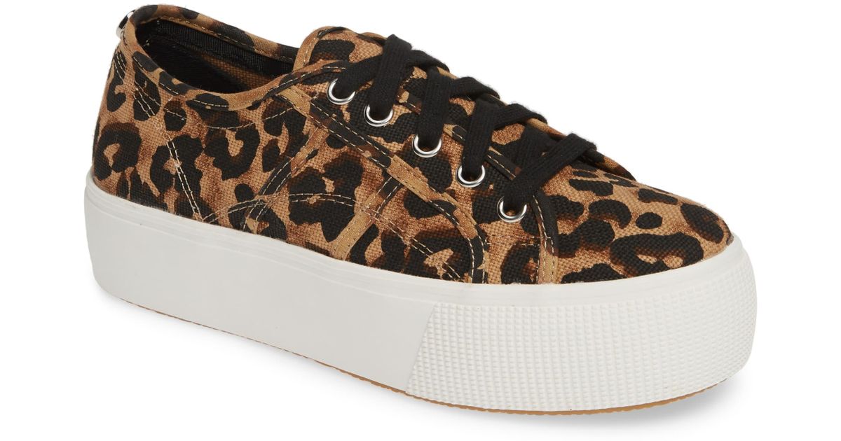 steve madden emmi leopard