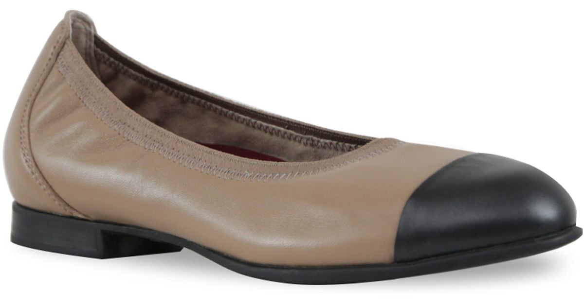 munro plum slip on flat