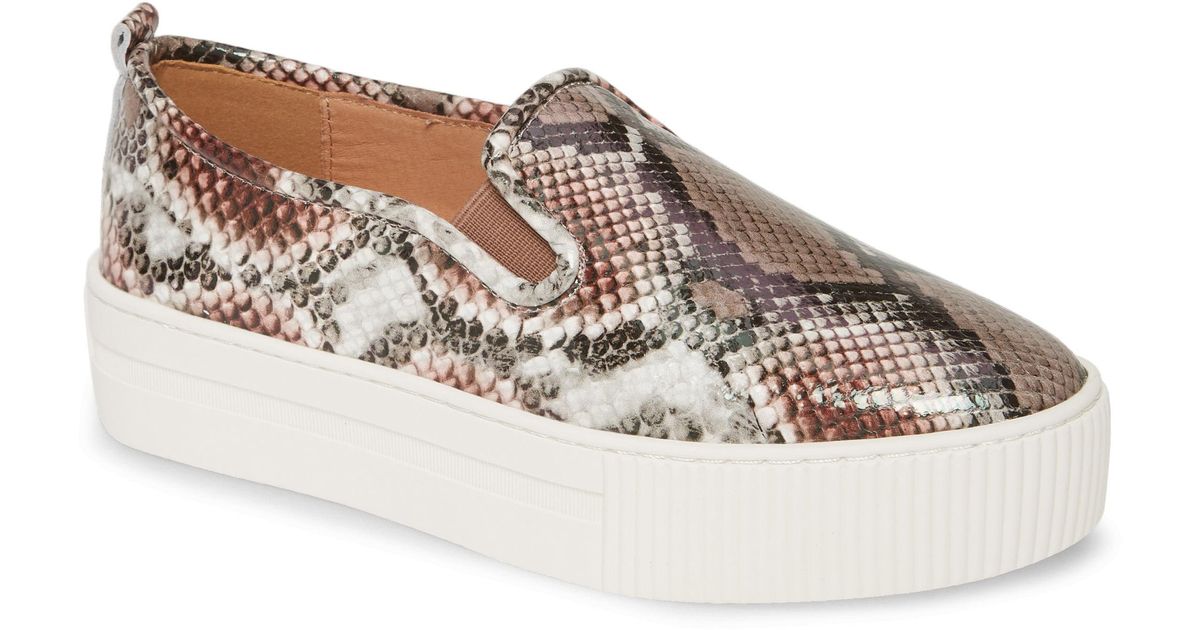 halogen baylee platform