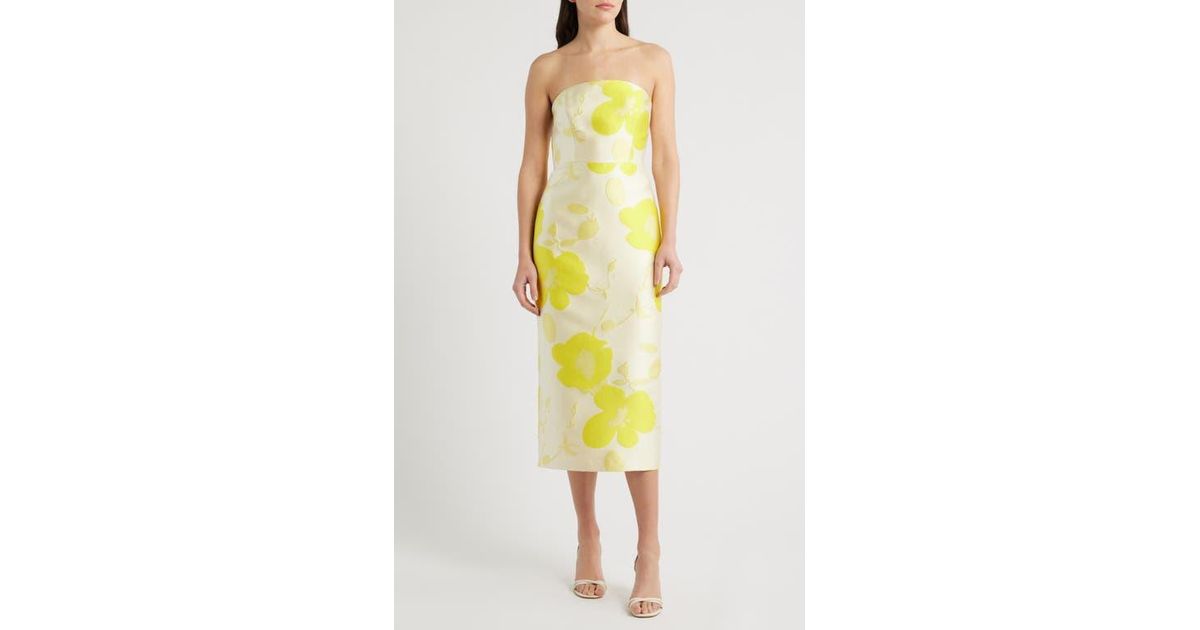 sam edelman strapless floral embroidered midi dress Sam Edelman Lace Woven Strapless 3D Floral Applique Sheath Midi Dress at Hamilton Place in Chattanooga, TN