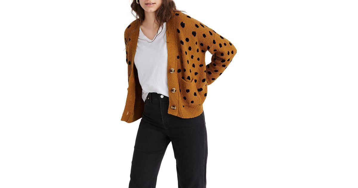 madewell hillview cardigan sweater