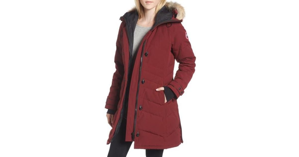 lorette hooded down parka with genuine coyote fur trim