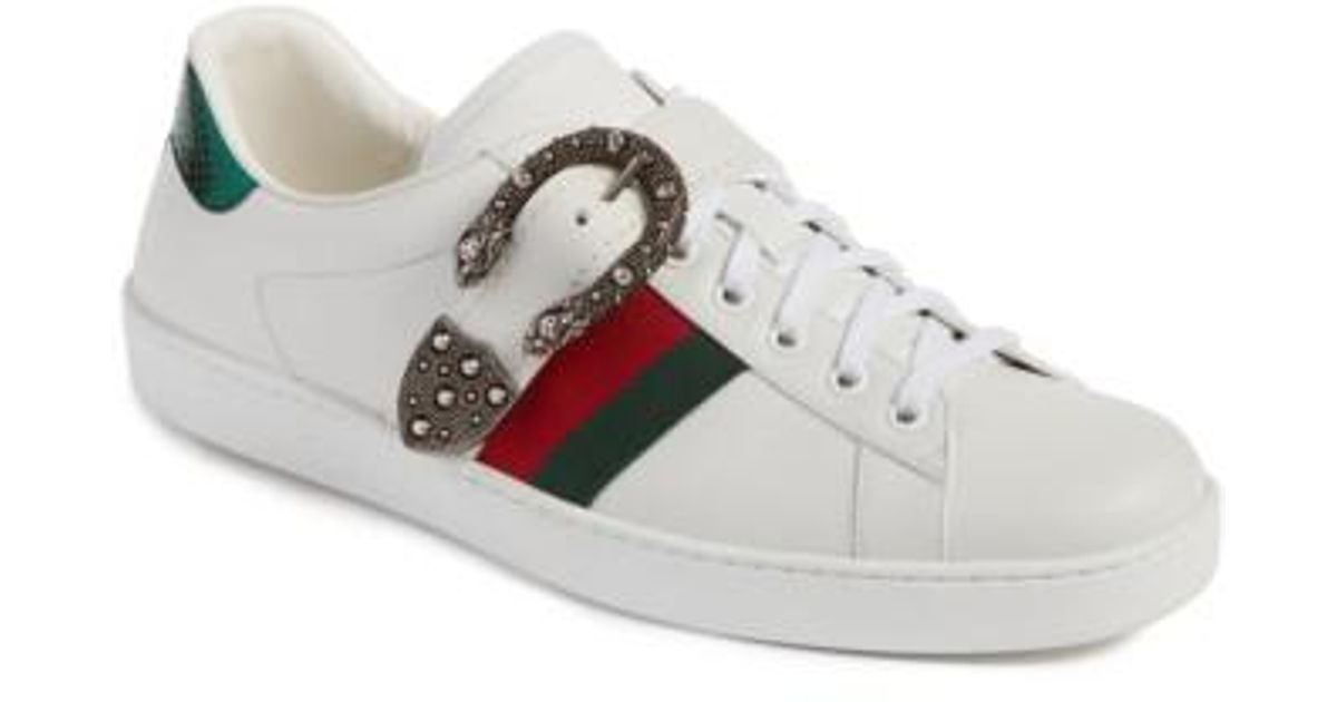 ace sneaker with dionysus buckle