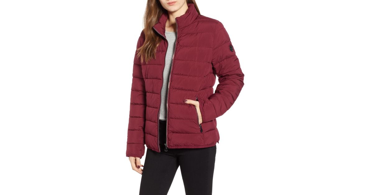 bernardo thermoplume