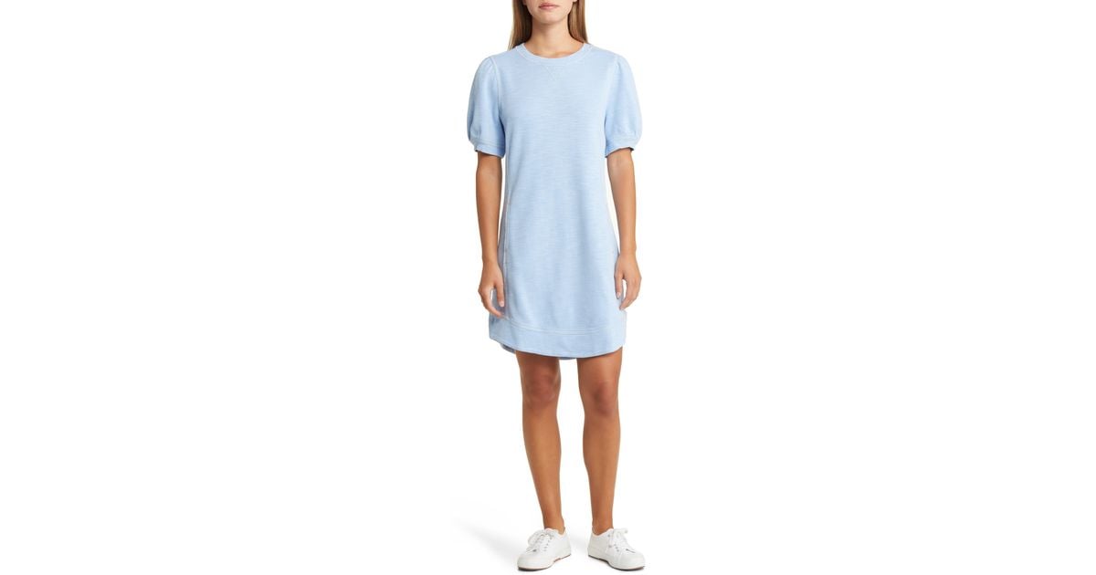 Tommy bahama hotsell t shirt dress