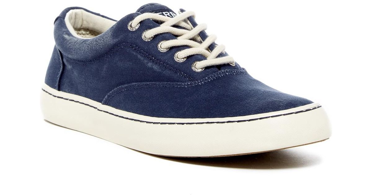 sperry cutter cvo sneaker