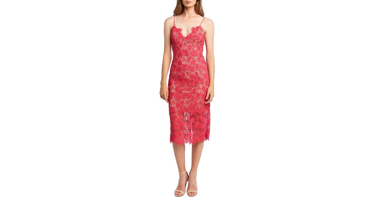 bardot tayla lace cocktail dress