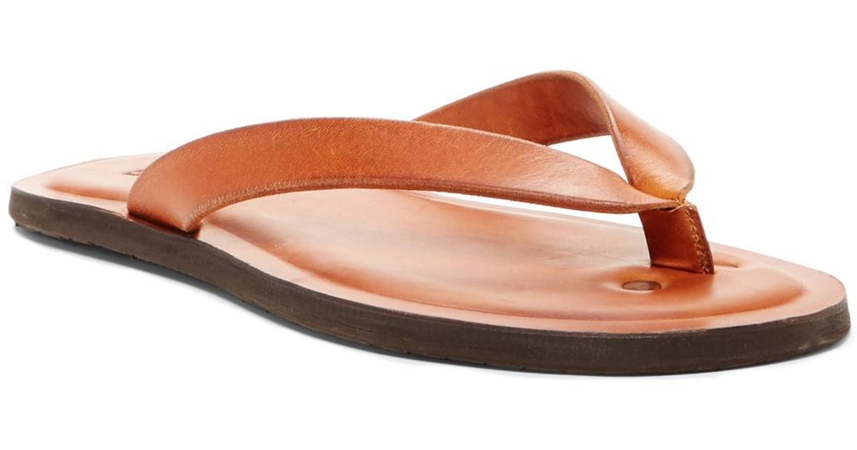 frye flip flops