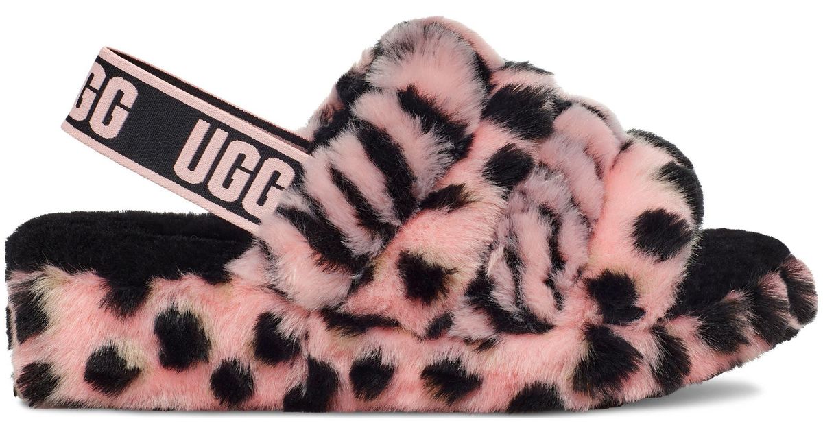 ugg scallop