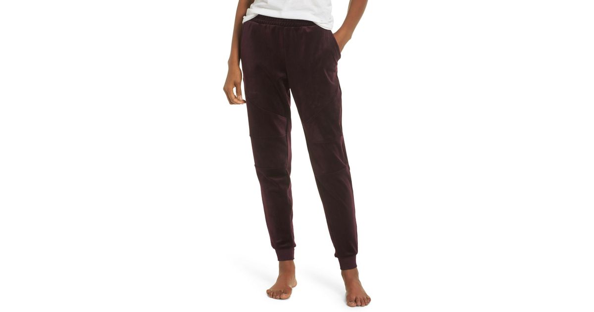 joe's jeans jogger women's