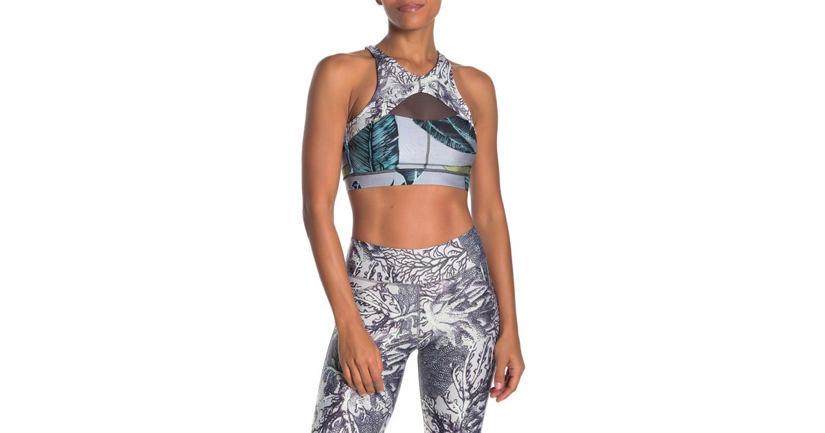 maaji sports bra