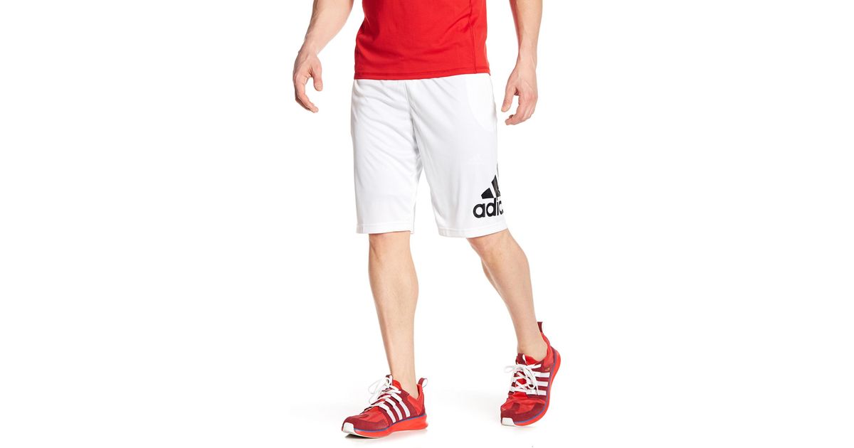 adidas crazylight shorts