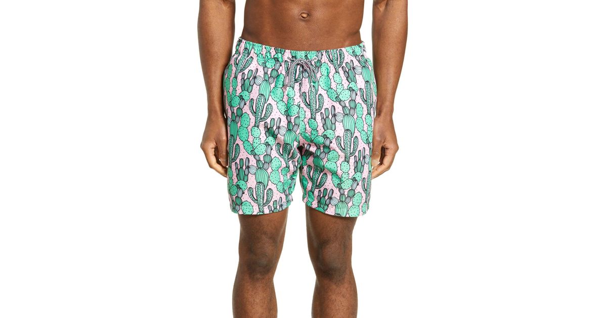 chchht Men Beach Shorts Colors Cactus Pattern Succulent Stretch Board Swim Drawstring Waist Board Shorts