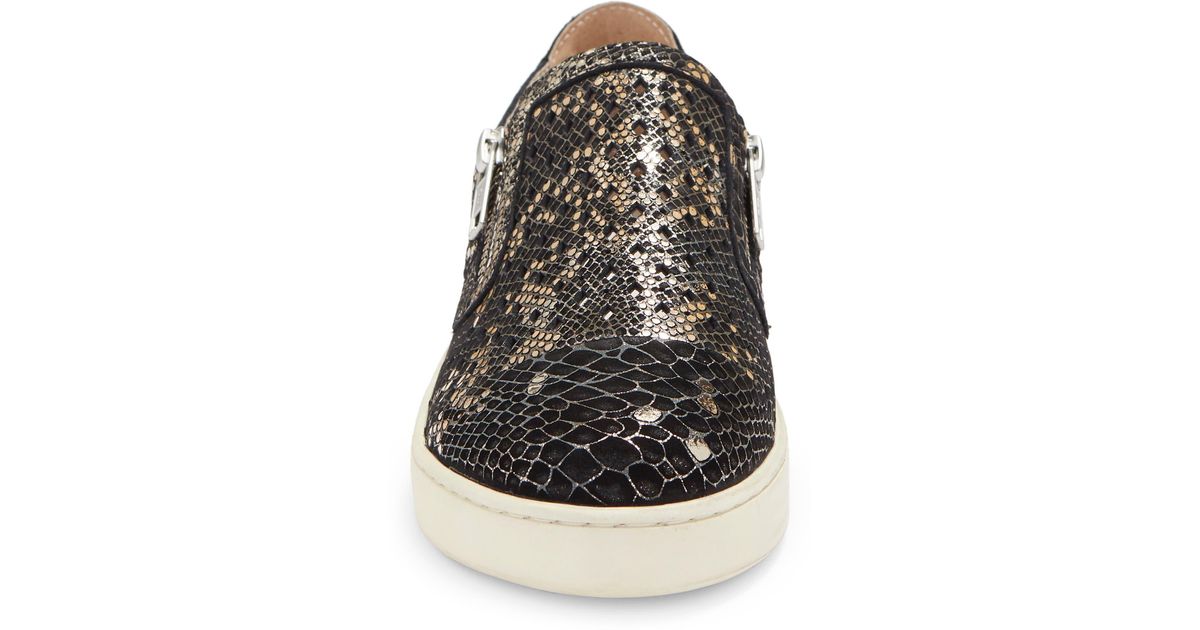 Chocolat Blu Nika Sneaker In Black Gold Embossed Snake At Nordstrom