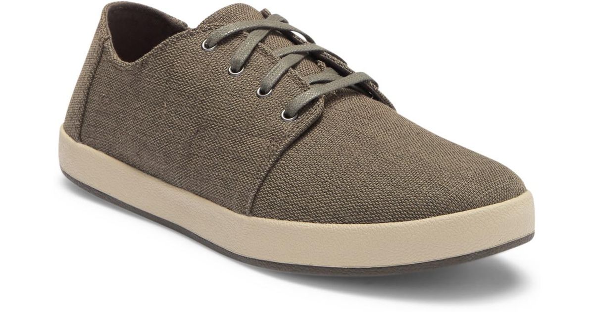 toms payton canvas sneaker