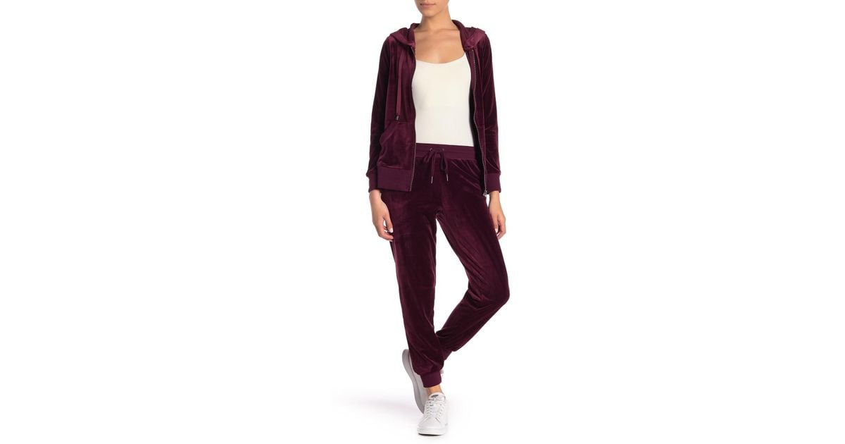 Cable & Gauge Drawstring Waist Velour Jogger Pants (petite) in Purple
