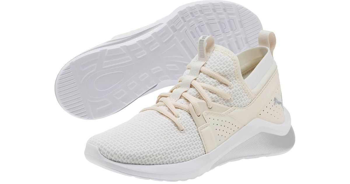 puma emergence cosmic