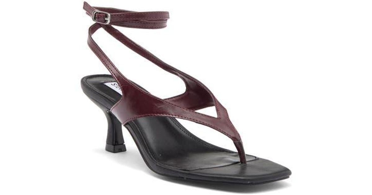 【レディース】Steve Madden Rayger Ankle Strap サンダル Steve Madden Rayger Ankle Strap Heel Sandal (Women