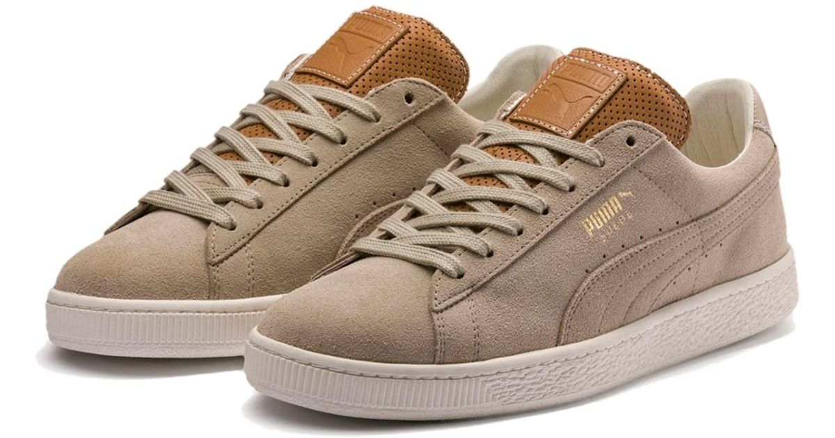 puma states mid mii