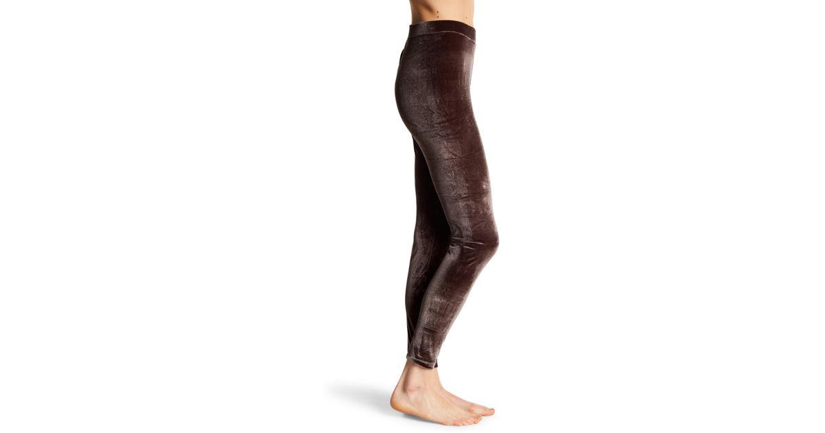 Hue Velvet Leggings in Espresso (Brown 