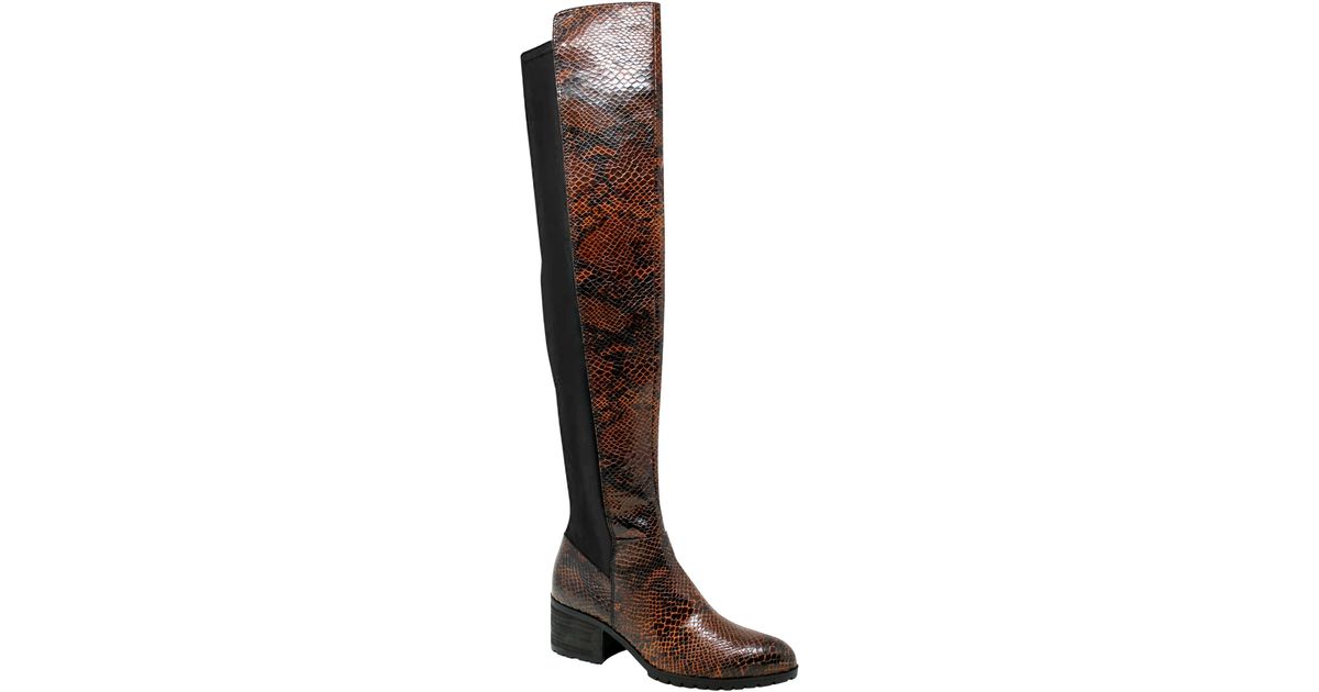 reason over the knee boot charles by charles david