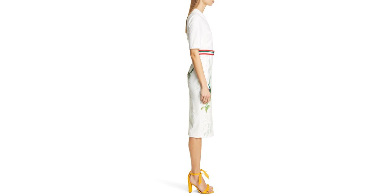 Ted baker molilo dress 2025