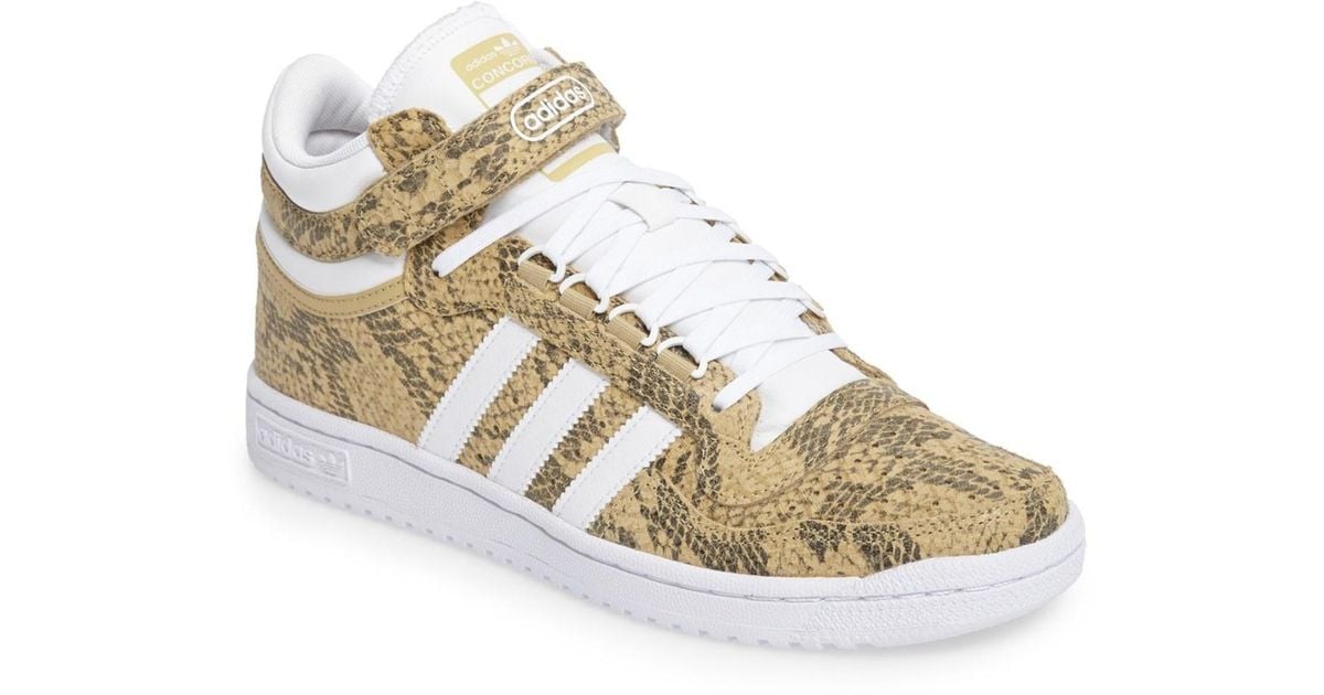 adidas Originals Leather Concord 2.0 Dragon Lair Snake Embossed Mid Top  Sneaker (men) in Sand/ White (White) for Men | Lyst