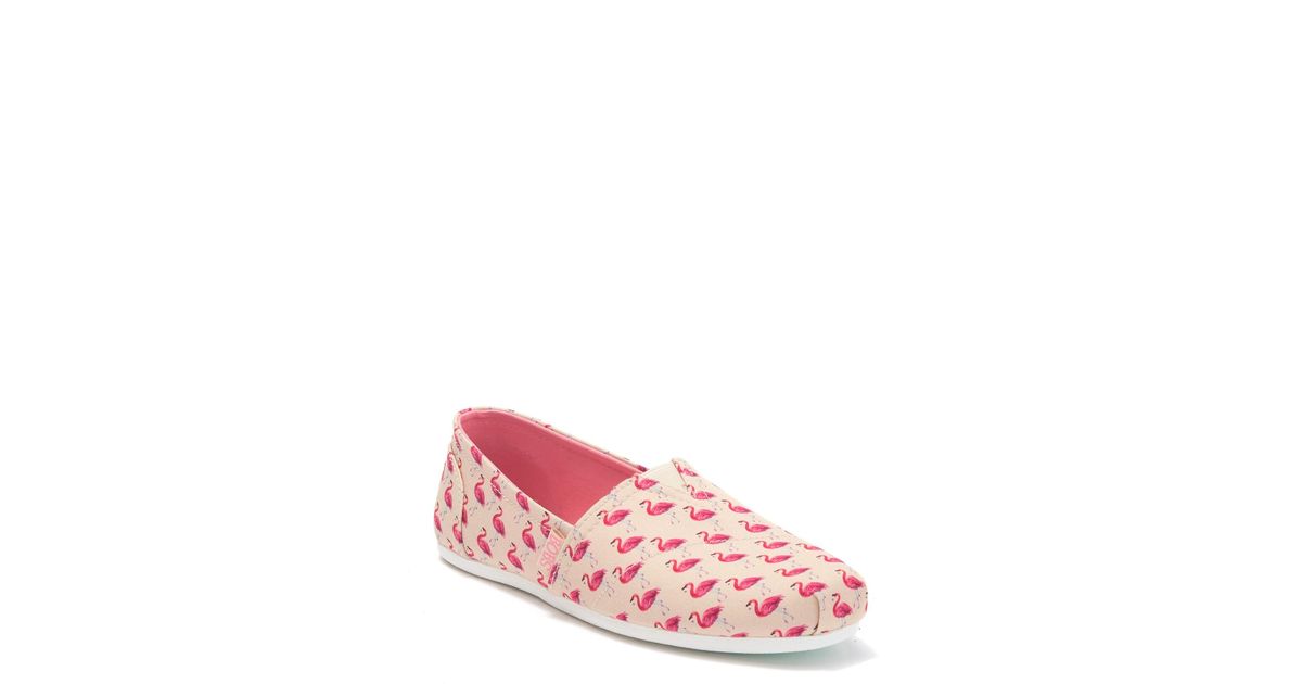 flamingo bobs shoes