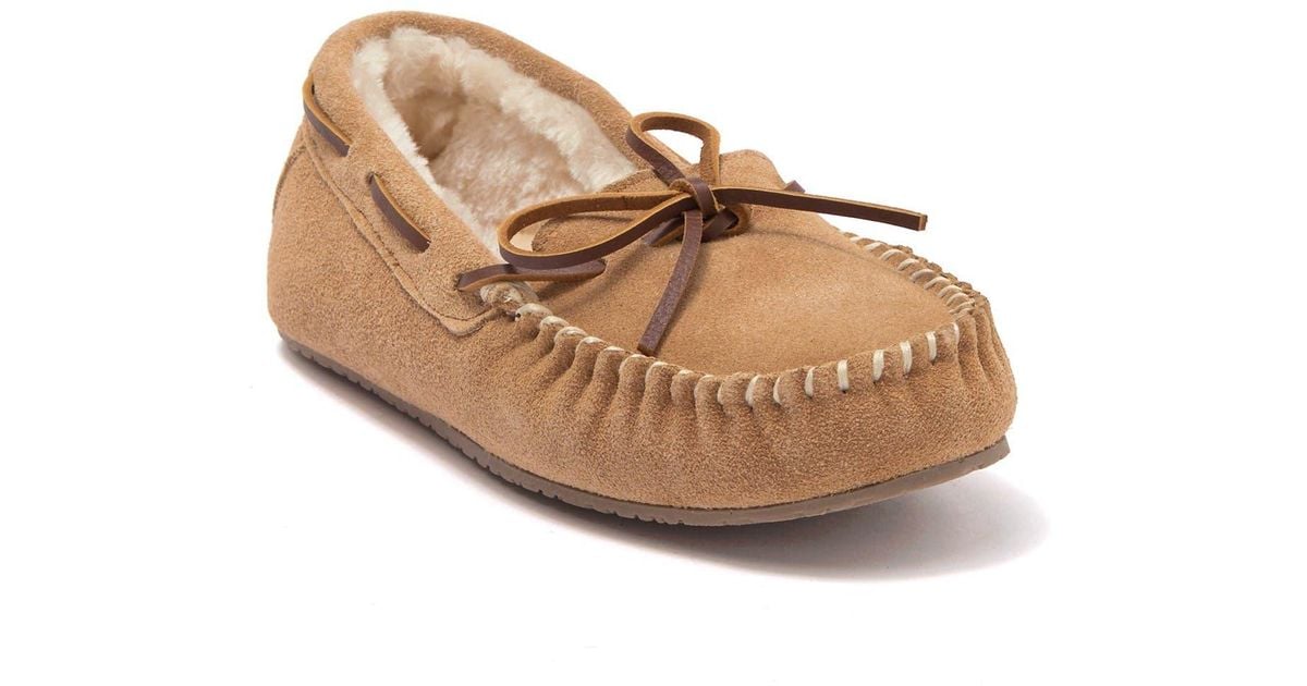 minnetonka britt trapper