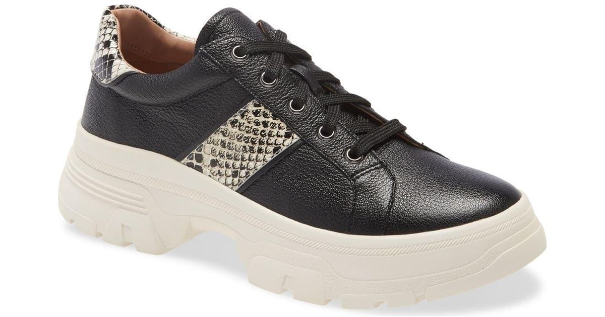 linea paolo platform sneaker