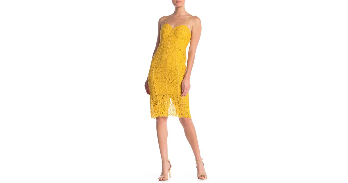 bardot sophia lace dress
